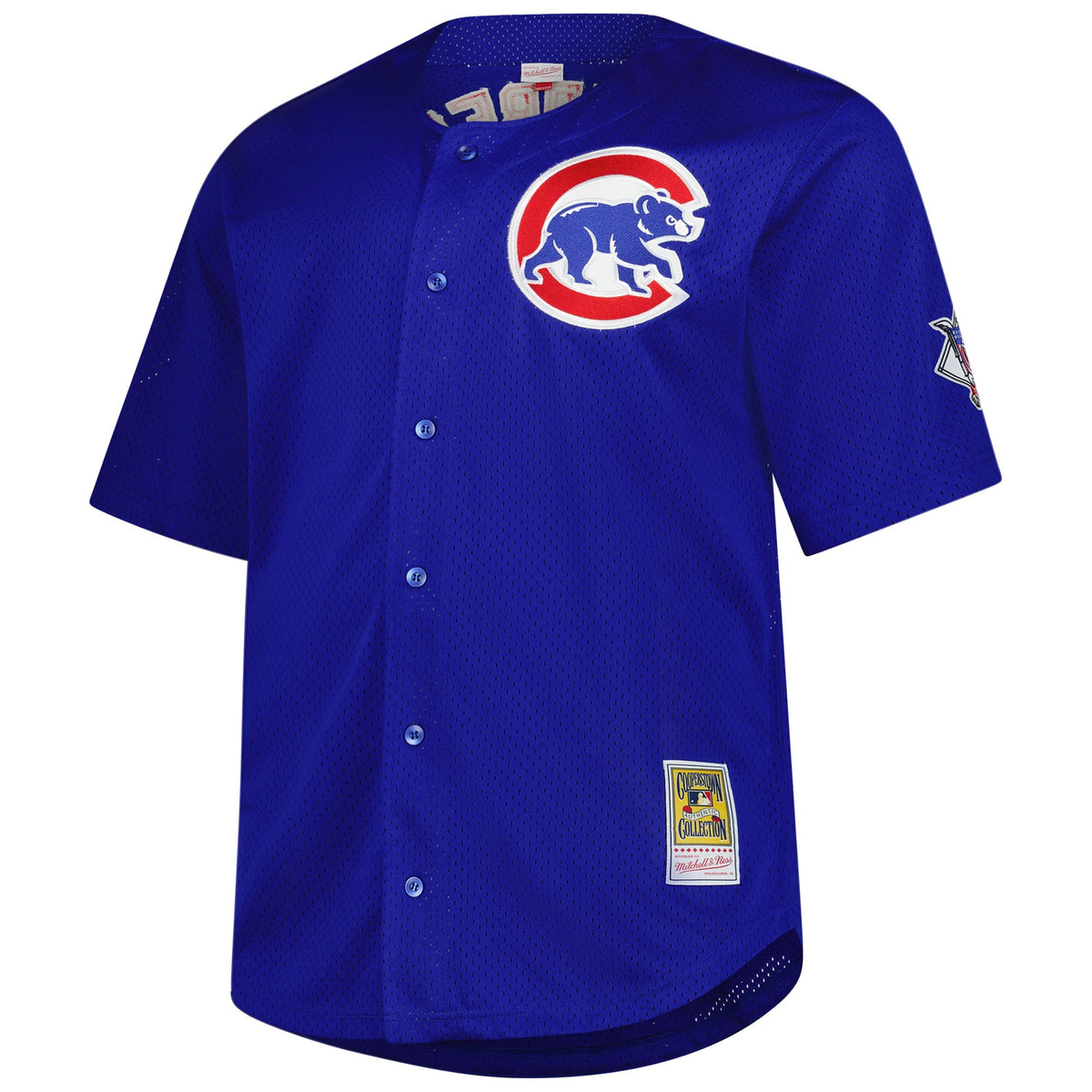 Men's Chicago Cubs Ryne Sandberg Mitchell & Ness Royal Big & Tall Cooperstown Mesh Batting Practice Jersey