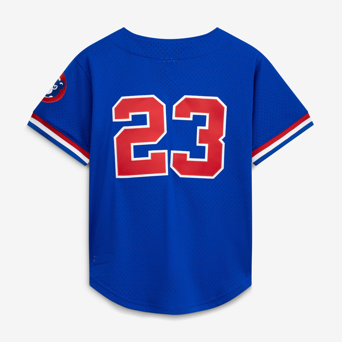 Men's Chicago Cubs Ryne Sandberg Mitchell & Ness Royal Cooperstown Collection 1996 Mesh Batting Practice Button-Up Jersey