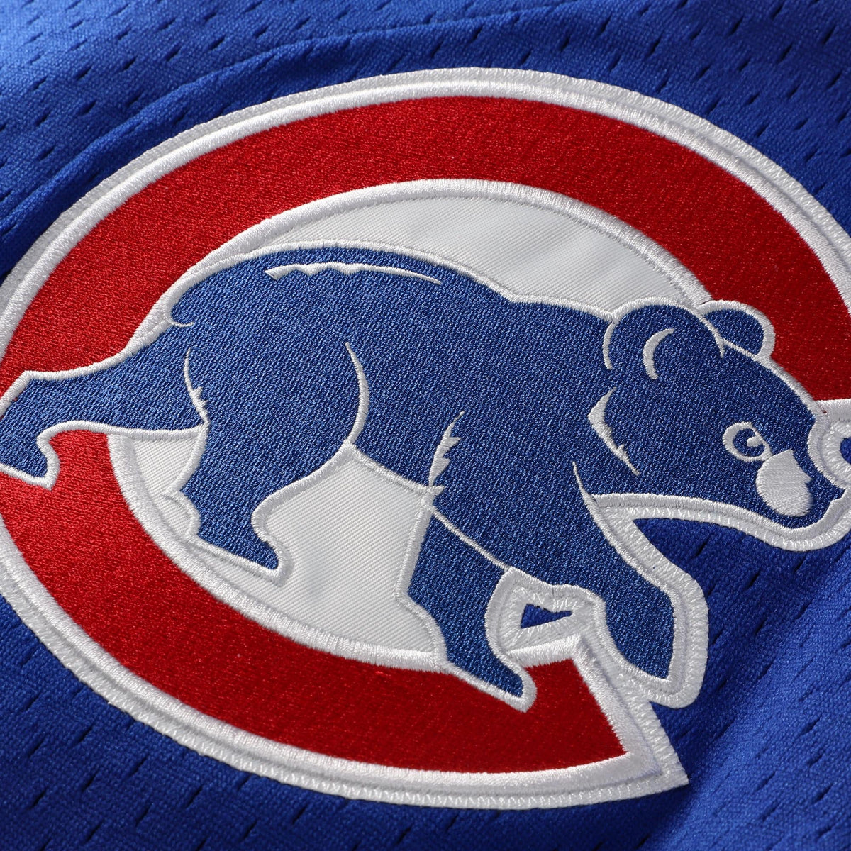 Men's Chicago Cubs Ryne Sandberg Mitchell & Ness Royal Cooperstown Collection 1997 Mesh Batting Practice Button-Up Jersey