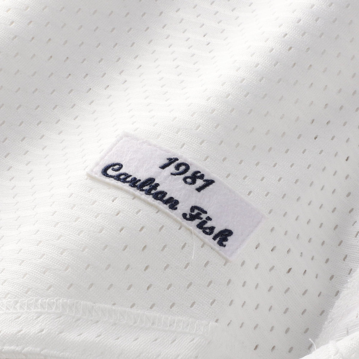 Men's Chicago White Sox Carlton Fisk Mitchell & Ness White Authentic Batting Practice Jersey