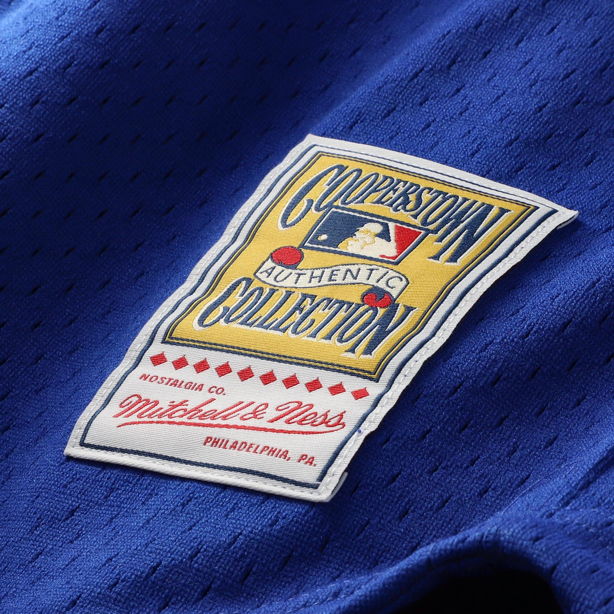 Men's Chicago Cubs Ryne Sandberg Mitchell & Ness Royal Cooperstown Collection 1996 Mesh Batting Practice Button-Up Jersey